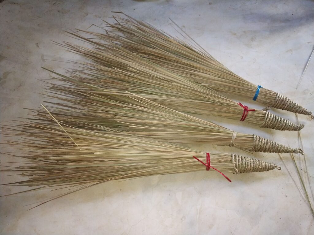 Brooms made from grass by tribal ladies of Mayurbhanj