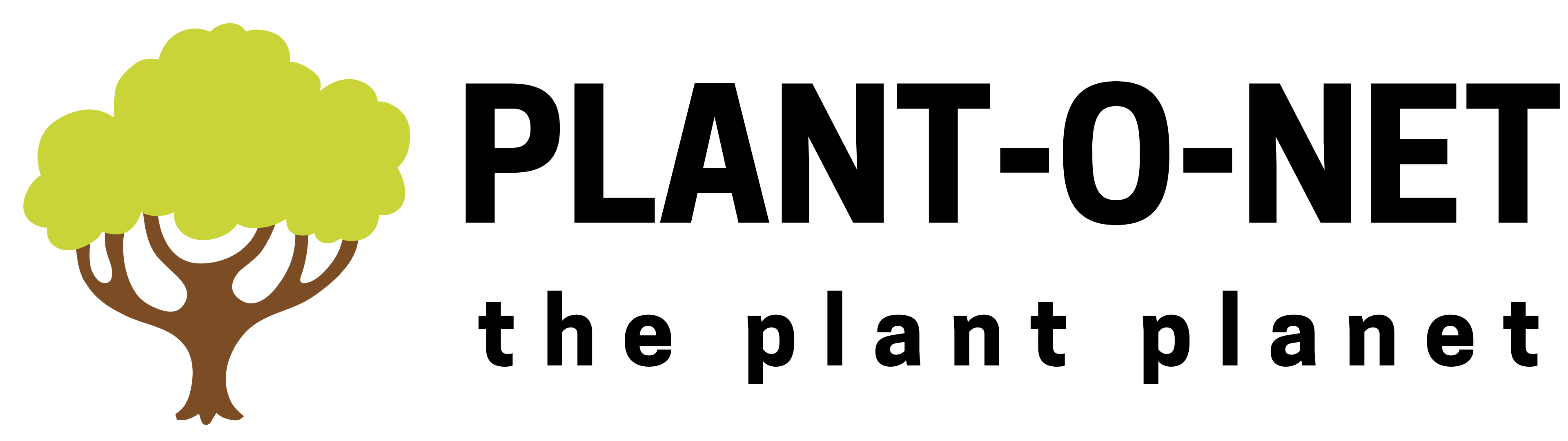 plantonet rect logo black